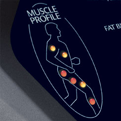 Spirit Fitness Treadmills - Muscle Activation
